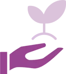 Career Transition/Upskilling