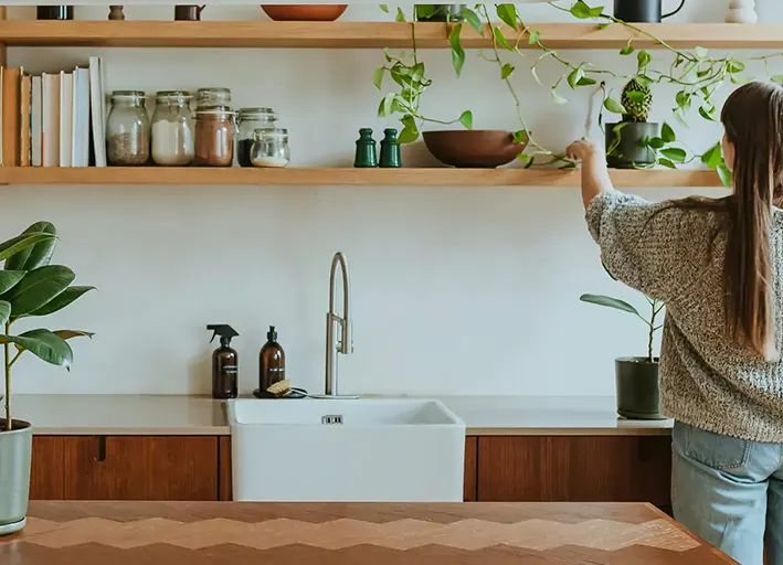 Interior Landscaping